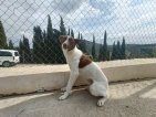 IMG20250228123949 (Groot)