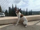 IMG20250228123950 (Groot)