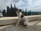 IMG20250228123952 (Groot)