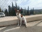 IMG20250228124008 (Groot)