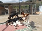IMG20250315125906 (Groot)