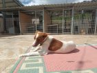 IMG20250315130510 (Groot)