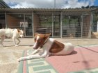 IMG20250315130513 (Groot)
