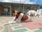 IMG20250315130517 (Groot)