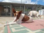 IMG20250315130518 (Groot)