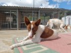 IMG20250315130519 (Groot)