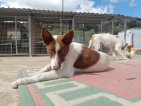 IMG20250315130521 (Groot)