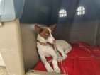 IMG20250322132951 (Groot)