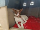 IMG20250322132953 (Groot)