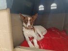 IMG20250322132954 (Groot)