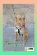1apr25 Terry 4