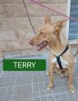 1apr25 Terry 5