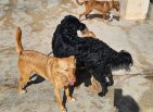10apr25 Sancho10