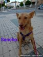 10apr25 Sancho11