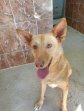 10apr25 Sancho2