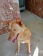 10apr25 Sancho3