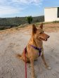 Update Sancho 2-10-26 (1)