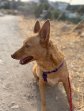 Update Sancho 2-10-26 (2)