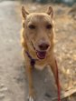 Update Sancho 2-10-26 (3)
