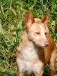 20apr25 Bandi 8