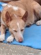 Update Bandi 30-7-26