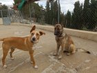 IMG20250208131446-1 (Groot)