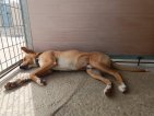 IMG20250215130835 (Groot)