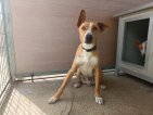IMG20250215130845 (Groot)