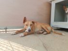 IMG20250215130922 (Groot)