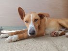 IMG20250215130930 (Groot)