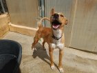 IMG20250315132427 (Groot)