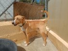 IMG20250315132523 (Groot)