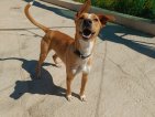 IMG20250330130820 (Groot)