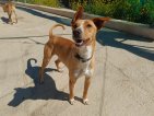 IMG20250330130822 (Groot)