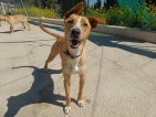 IMG20250330130830 (Groot)