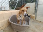 IMG20250415131410 (Groot)