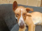 IMG20250415132537 (Groot)