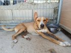 IMG_20250726_114549 (Groot)