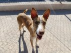 IMG_20250718_095655