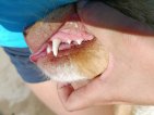 IMG_20250718_095812