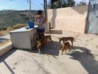 IMG_20250718_103403