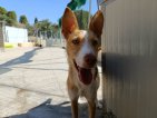 IMG_20250722_111236