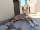 IMG_20250726_113740
