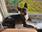Olaf 25-10-25