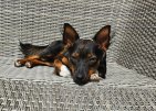 Olaf 25-10-25