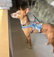Update Dobby 10 april 2026 (5)
