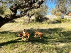 Update Balti 08 april 2026 (10)
