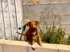 Update Balti 08 april 2026 (11)