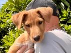 Update Balti 08 april 2026 (2)