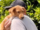 Update Balti 08 april 2026 (3)